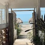 El legado de las olas